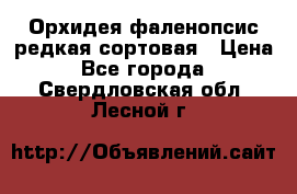 Орхидея фаленопсис редкая сортовая › Цена ­ 800 - Все города  »    . Свердловская обл.,Лесной г.